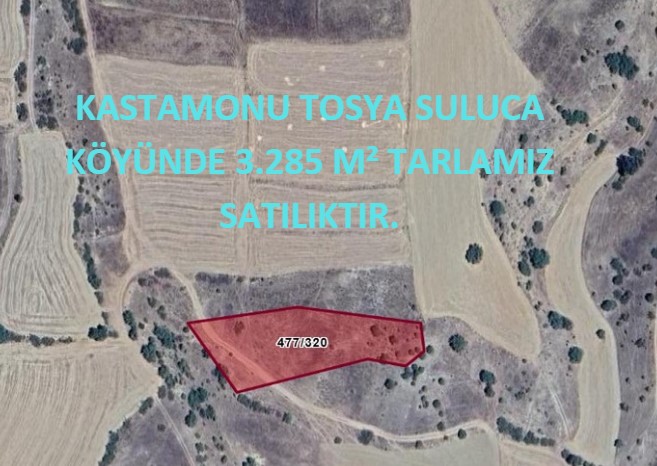 KASTAMONU TOSYA SULUCA KÖYÜNDE 3.285 M² TARLAMIZ SATILIKTIR. - KASTAMONU TOSYA fotoğraf 6